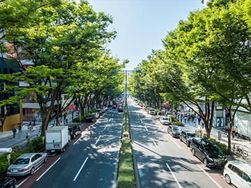 青山・表参道