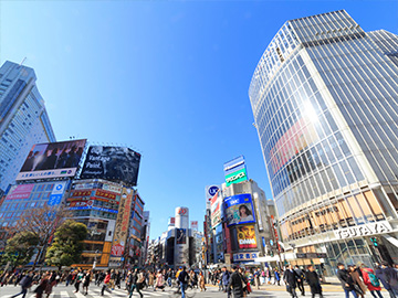 渋谷・松濤・恵比寿・代官山